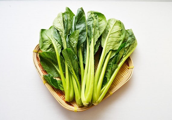1000 KOMATSUNA mustard spinach seeds こまつな 小松菜