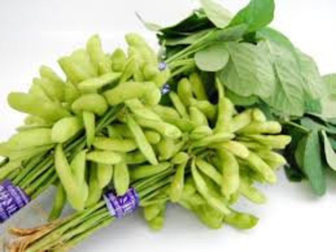 1/2oz 40 CHIBA GREEN Organic Edamame Seeds Edible Soy Bean Etsy