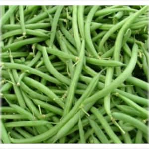 May include: A bunch of fresh green string beans. The beans are long and slender, with a bright green color.