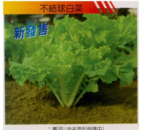 3-gram 1000 FUN-JEN Hybrid Frilly Leaf Taiwanese Pak Choi Seeds; 鳳珍皺葉白菜 ...