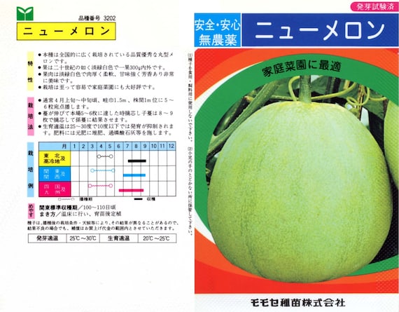 40 Japanese New Melon Seeds 新瓜 ニューメロン 日本甜寶香瓜 Mini Etsy Denmark 40 Japanese New Melon Seeds 新瓜 ニューメロン 日本甜寶香瓜 Mini Etsy Denmark