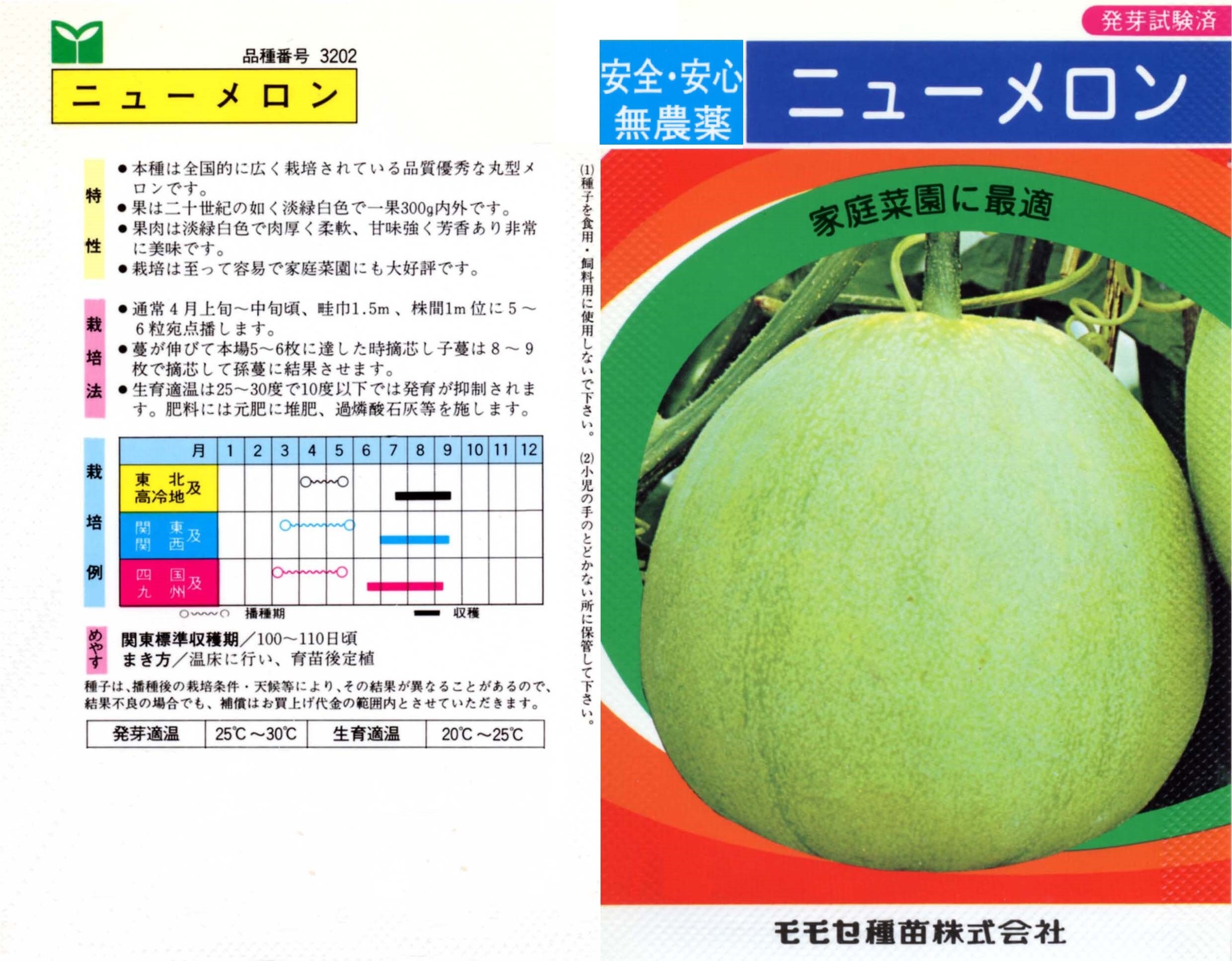 40+ Japanese New Melon Seeds; 新瓜; ニューメロン; 日本甜寶香瓜