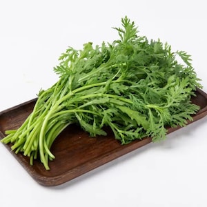 1-oz 10,000+ Tần Ô Seeds; Medium serrated Tong Ho; 中切葉茼蒿; Crown Daisy Garland Chrysanthemum Shungiku Vietnamese Rau Cú, Caỉ Cúc