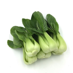 1/8-oz 1250 Petite Shanghai Green Stem Hybrid Pak Choi Miao seeds 雞毛菜 上海青苗