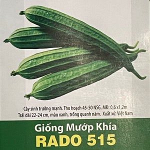 1g 7-8 seeds Vietnamese Ridge Luffa; Angled Loofah; Hạt giống mướp khía RADO 515 Rạng Đông