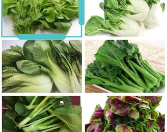 8-gram 5000+ Asian Summer Greens Seeds mix blend: Gai Lan, Yu Choi, Green+Red Amaranth, Canton+Shanghai Pak Choi；SINGLE PACKET