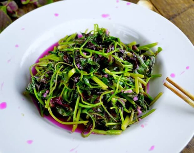 May include: A white plate with a serving of stir-fried red amaranth greens. The greens are a vibrant green and red color and are arranged in a pile on the plate. The plate has pink splatter paint on it.