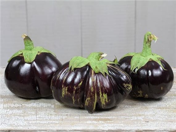SeedsUP Eggplant Finger Big Pack 100 Vegetable Mix