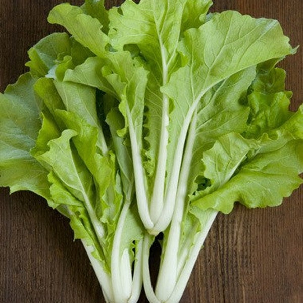 1/4-oz 3000+ TOKYO BEKANA Loose-Head Chinese Cabbage seeds; popular MicroGreen; heirloom non-GMO