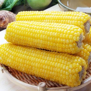 May include: Three ears of yellow corn on the cob, cooked and ready to eat, in a woven basket.