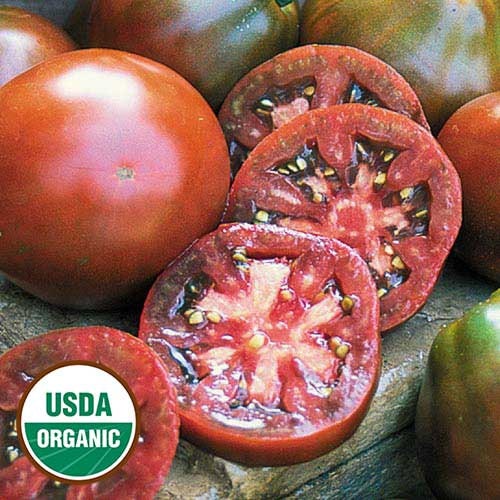 30 Japanese Black Trifele Certified Organic Heirloom Tomato Etsy