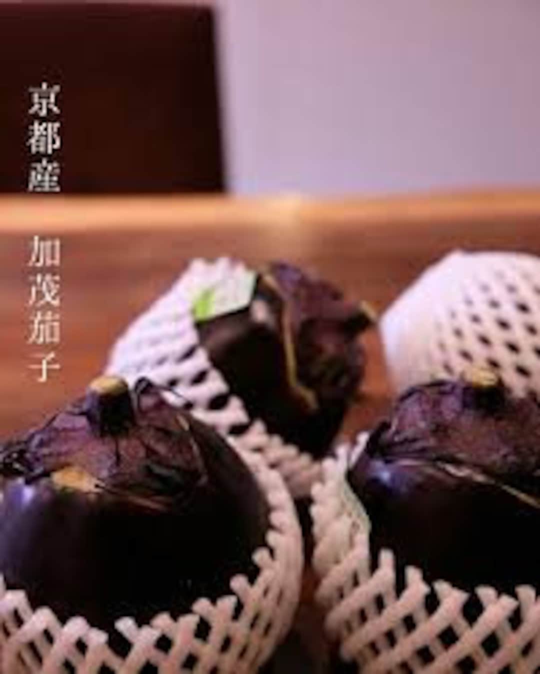 100 Japanese KAMO NASU Eggplant Seeds 賀茂茄子 カモナス かもなす Etsy