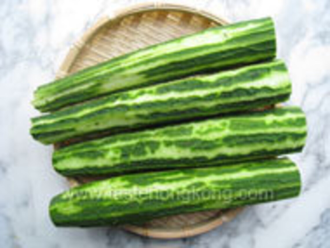 15 Cantonese Angled Luffa Seeds; JIAO GUA 廣東絲瓜 稜角絲瓜 角瓜 勝瓜; Ridged ...