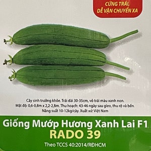 1g 9-10 seeds Vietnamese Hybrid Smooth Luffa; Hạt giống mướp hương xanh lai F1; RADO 39 Rang Dong