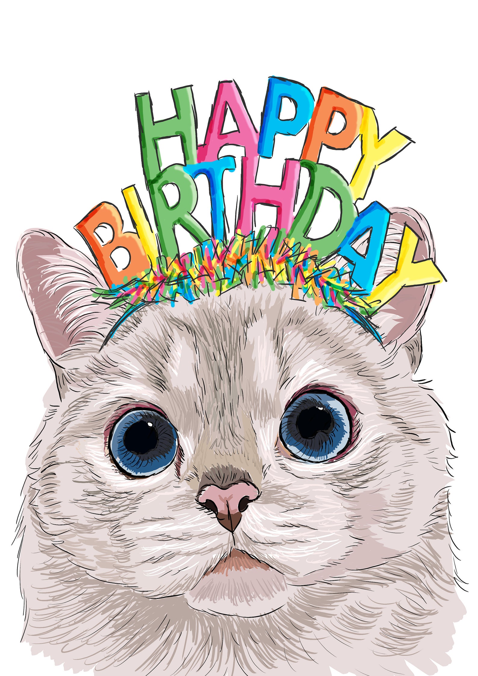 Funny Cat Birthday Card Cat Greetings Card Funny Cat | Etsy