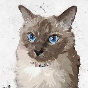 Custom Pet Portrait, Ragdoll Cat Gift, Pet Portrait Painting, Pet Portrait Custom, Pet Bereavement, Cat Watercolour, Dog Birthday