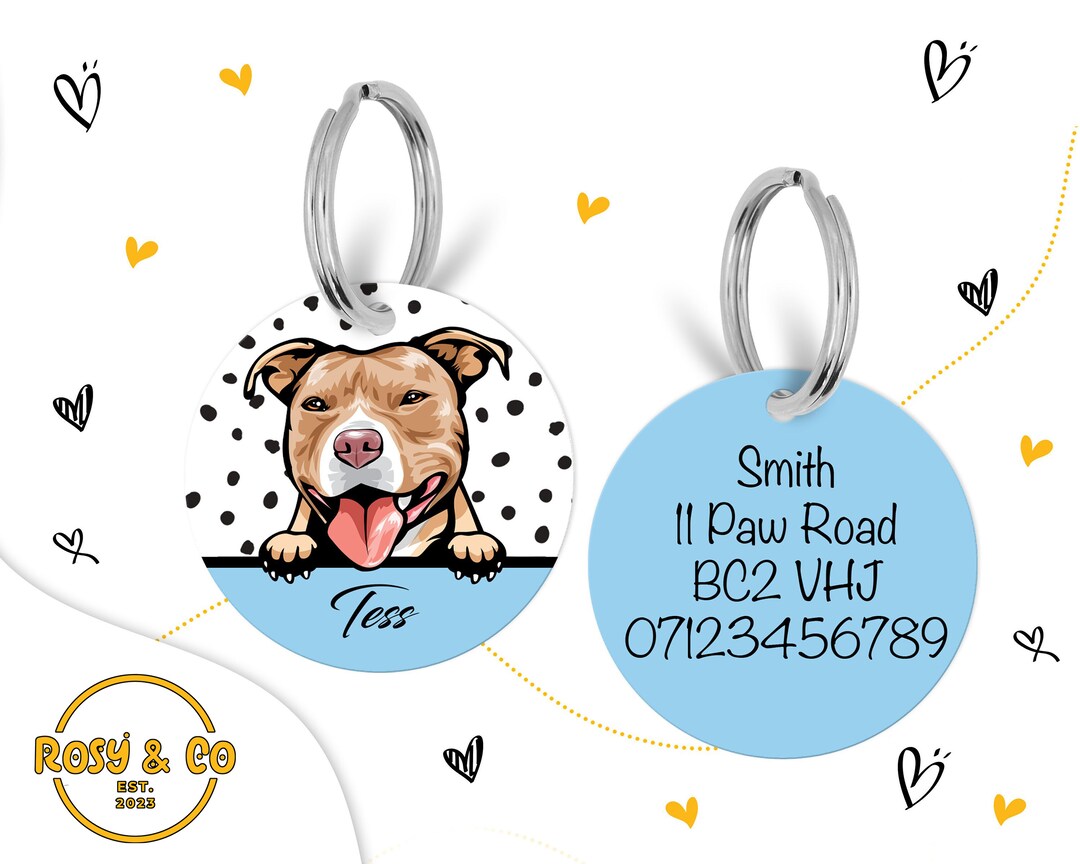 Custom Illustrated Pitbull Portrait ID Colourful Illustrated Dog ID