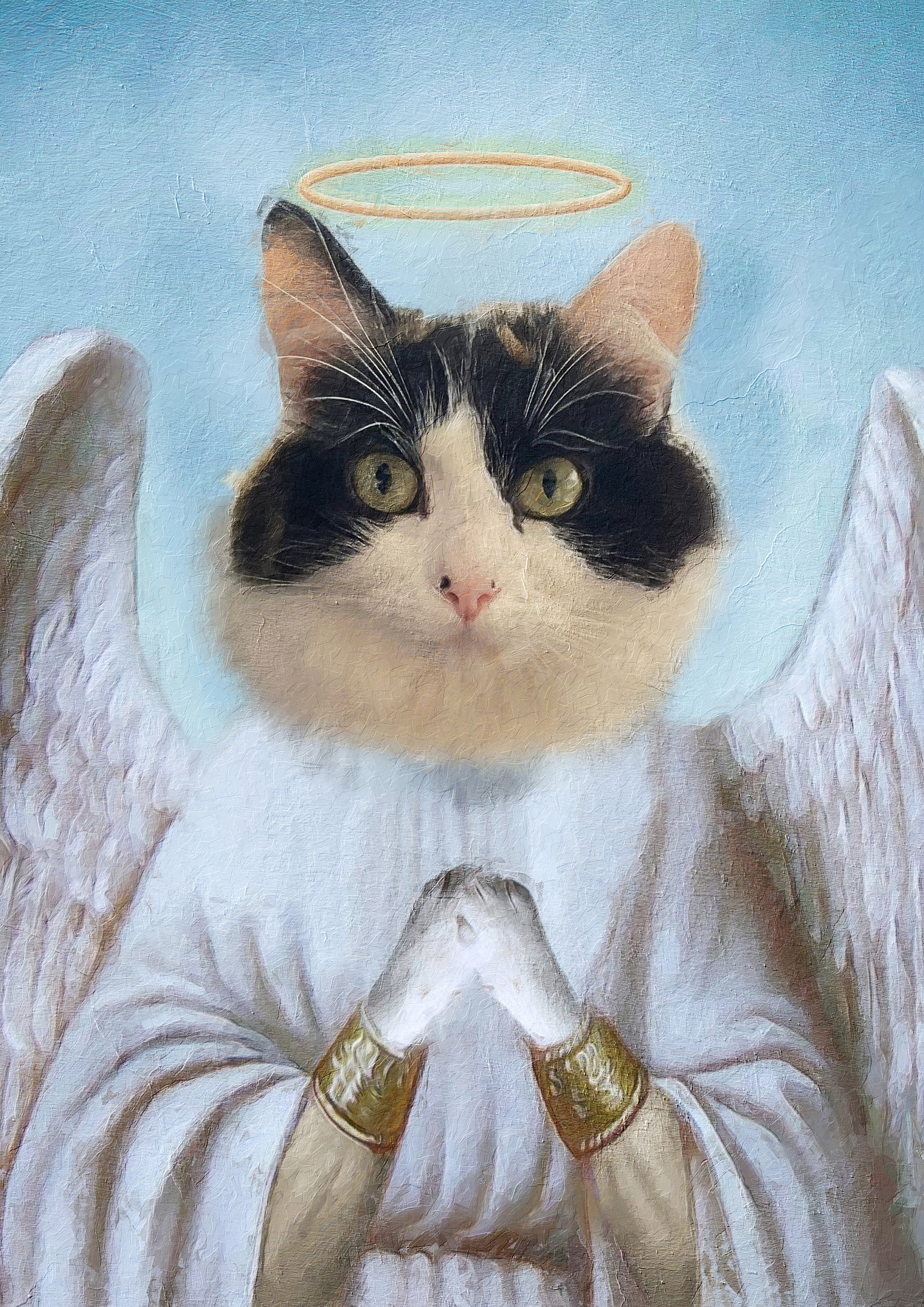 Funny Cat Angel Face