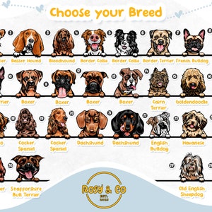 Puede incluir: Un gr&aacute;fico con ilustraciones de 28 razas de perros diferentes. Cada raza est&aacute; etiquetada con su nombre. El gr&aacute;fico est&aacute; sobre un fondo azul claro con corazones blancos.