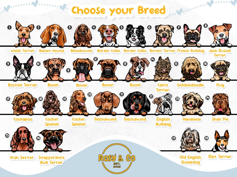 Puede incluir: Un gr&aacute;fico con ilustraciones de 28 razas de perros diferentes. Cada raza est&aacute; etiquetada con su nombre. El gr&aacute;fico est&aacute; sobre un fondo azul claro con corazones blancos.