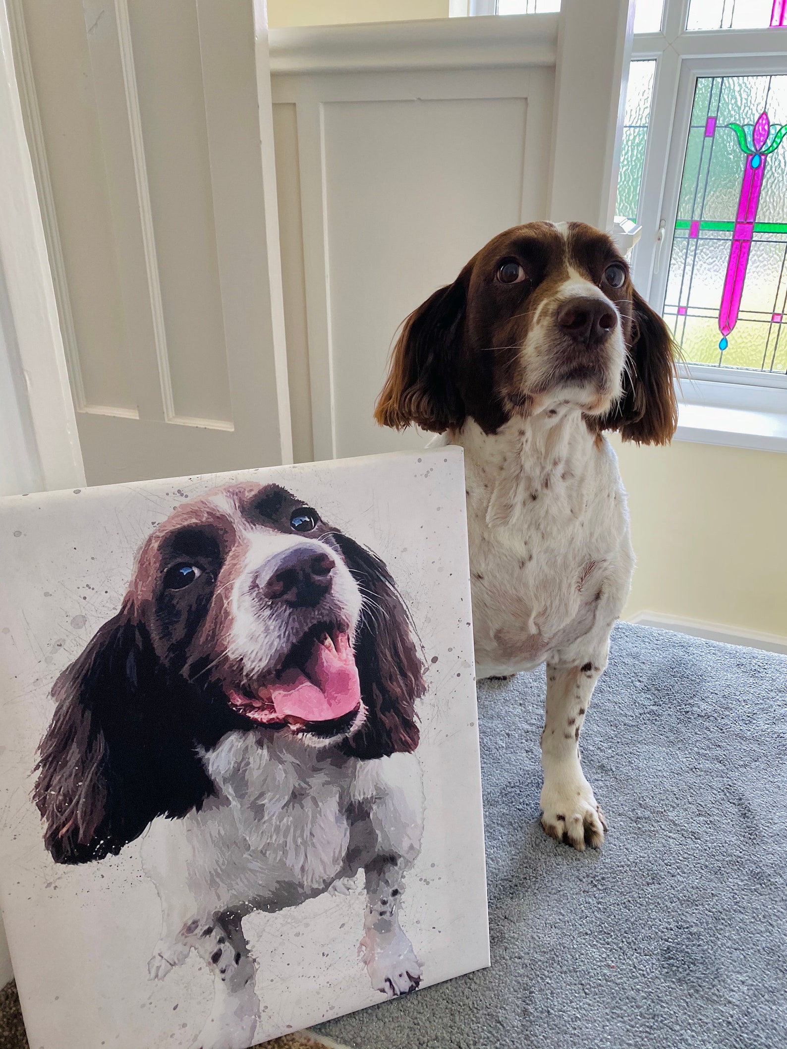 Custom Pet Canvas, Pet Portrait Canvas, Cat Canvas, Dog Canvas, Custom