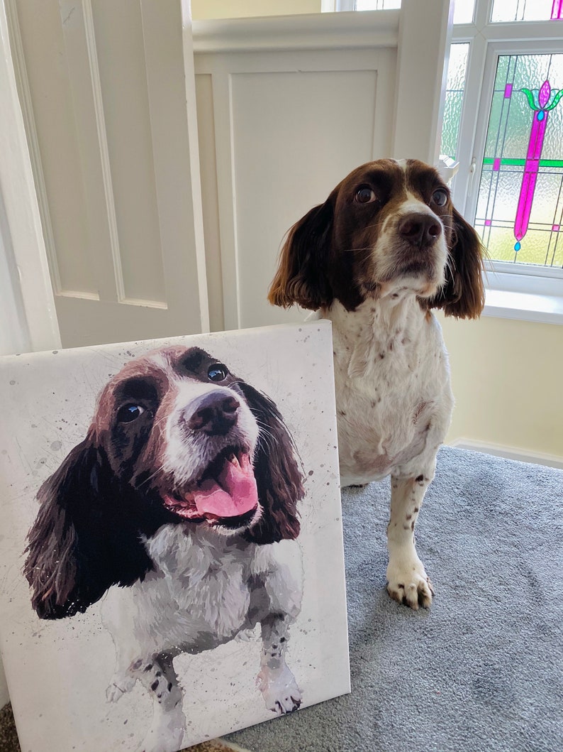 Custom Pet Canvas Pet Portrait Canvas Cat Canvas Dog Etsy UK