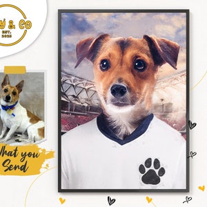 Kit de football pour chien, Angleterre 2024 euros, portrait d'animal de compagnie personnalisé, cadeau pour amateur de football, tenue de chat de football, souvenirs de football, portrait d'animal de compagnie