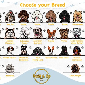 Puede incluir: Un gr&aacute;fico colorido con ilustraciones de diferentes razas de perros. Cada raza est&aacute; etiquetada con su nombre y un n&uacute;mero. El gr&aacute;fico se titula "Elige tu raza".
