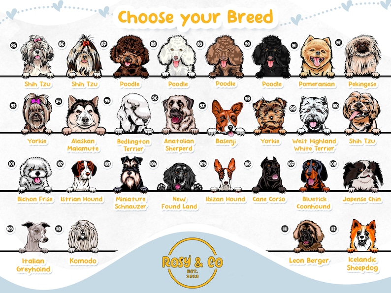 Puede incluir: Un gr&aacute;fico colorido con ilustraciones de diferentes razas de perros. Cada raza est&aacute; etiquetada con su nombre y un n&uacute;mero. El gr&aacute;fico se titula "Elige tu raza".