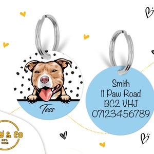 Puede incluir: Dos chapas redondas para perros con fondos azul y blanco. Una chapa presenta una imagen de dibujos animados de un pitbull marr&oacute;n y blanco con lunares negros. La chapa dice "Tess". La otra chapa tiene texto negro sobre un fondo azul claro con el texto "Smith, 11 Paw Road, BC2 VHJ, 07123456789".