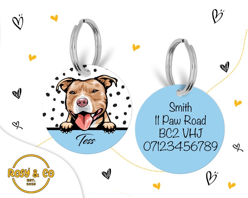 Puede incluir: Dos chapas redondas para perros con fondos azul y blanco. Una chapa presenta una imagen de dibujos animados de un pitbull marr&oacute;n y blanco con lunares negros. La chapa dice "Tess". La otra chapa tiene texto negro sobre un fondo azul claro con el texto "Smith, 11 Paw Road, BC2 VHJ, 07123456789".