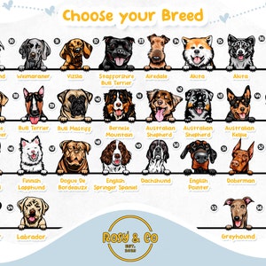 Puede incluir: Un gr&aacute;fico con ilustraciones de diferentes razas de perros. El gr&aacute;fico est&aacute; etiquetado como "Elige tu raza" e incluye los nombres de cada raza, como "Wolfhound", "Weimaraner", "Vizsla", "Staffordshire Bull Terrier", "Airedale", "Akita", "Ganado vacuno australiano", "Chesapeake Bay Retriever", "Bull Terrier", "Bull Mastiff", "Bernese Mountain", "Australian Shepherd", "Australian Shepherd", "Australian Kelpie", "Australian Shepherd", "Pastor alem&aacute;n", "Lapphund finland&eacute;s", "Dogue de Bordeaux", "Springer spaniel ingl&eacute;s", "Dachshund", "Pointer ingl&eacute;s", "Doberman", "D&aacute;lmata", "Labrador", "Labrador", "Galgo", y "Gran dan&eacute;s".