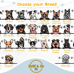 Puede incluir: Un gr&aacute;fico con ilustraciones de diferentes razas de perros. El gr&aacute;fico est&aacute; dividido en filas y columnas, con cada raza etiquetada con su nombre. Las razas incluyen Pit Bull, San Bernardo, Rottweiler, Rhodesian Ridgeback, Perro de Agua Portugu&eacute;s, Shiba Inu, Ovejero Shetland, Terrier Escoc&eacute;s, Cavalier King Charles Spaniel, Bobtail, Havan&eacute;s, Lhasa Apso, Papill&oacute;n, Schnauzer, Corgi Gal&eacute;s de Pembroke, Elkhound Noruego, Mast&iacute;n, Chihuahua y Husky Siberiano.