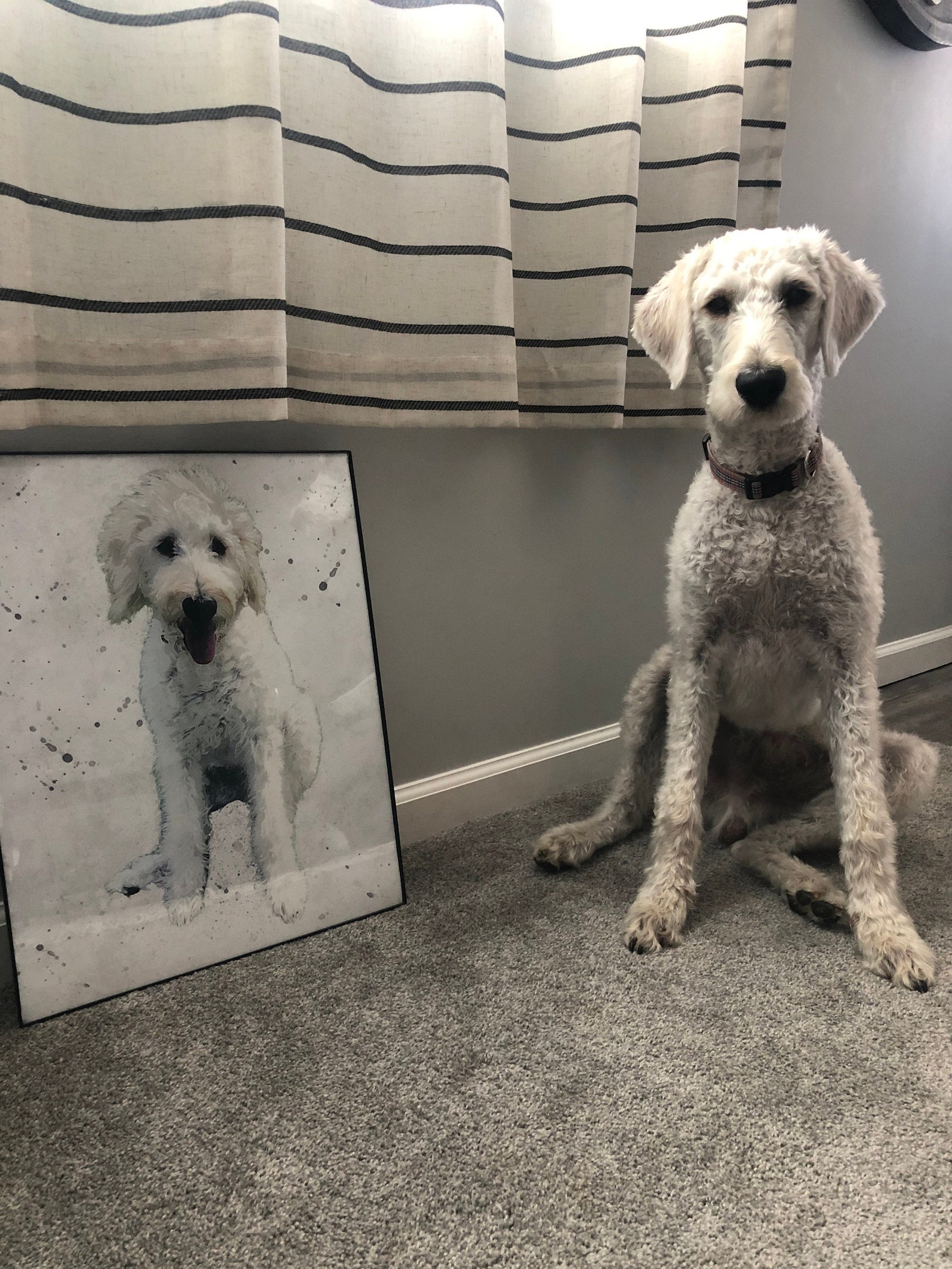 Custom Pet Canvas Pet Portrait Canvas Cat Canvas Dog Etsy UK