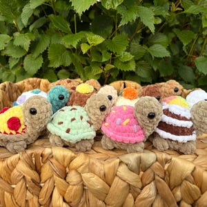 May include: A collection of small, crocheted plush turtles with textured, tan-colored bodies and black plastic eyes. Each turtle features a unique, colorful shell design, including patterns resembling pizza, mint chocolate chip, and frosted cupcakes.
