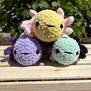 Crochet Axolotl Plush, Crochet Axolotl, Axolotl Toy, Axolotl Gift, Crochet Animal, Axolotl Plushie, Handmade Plushie