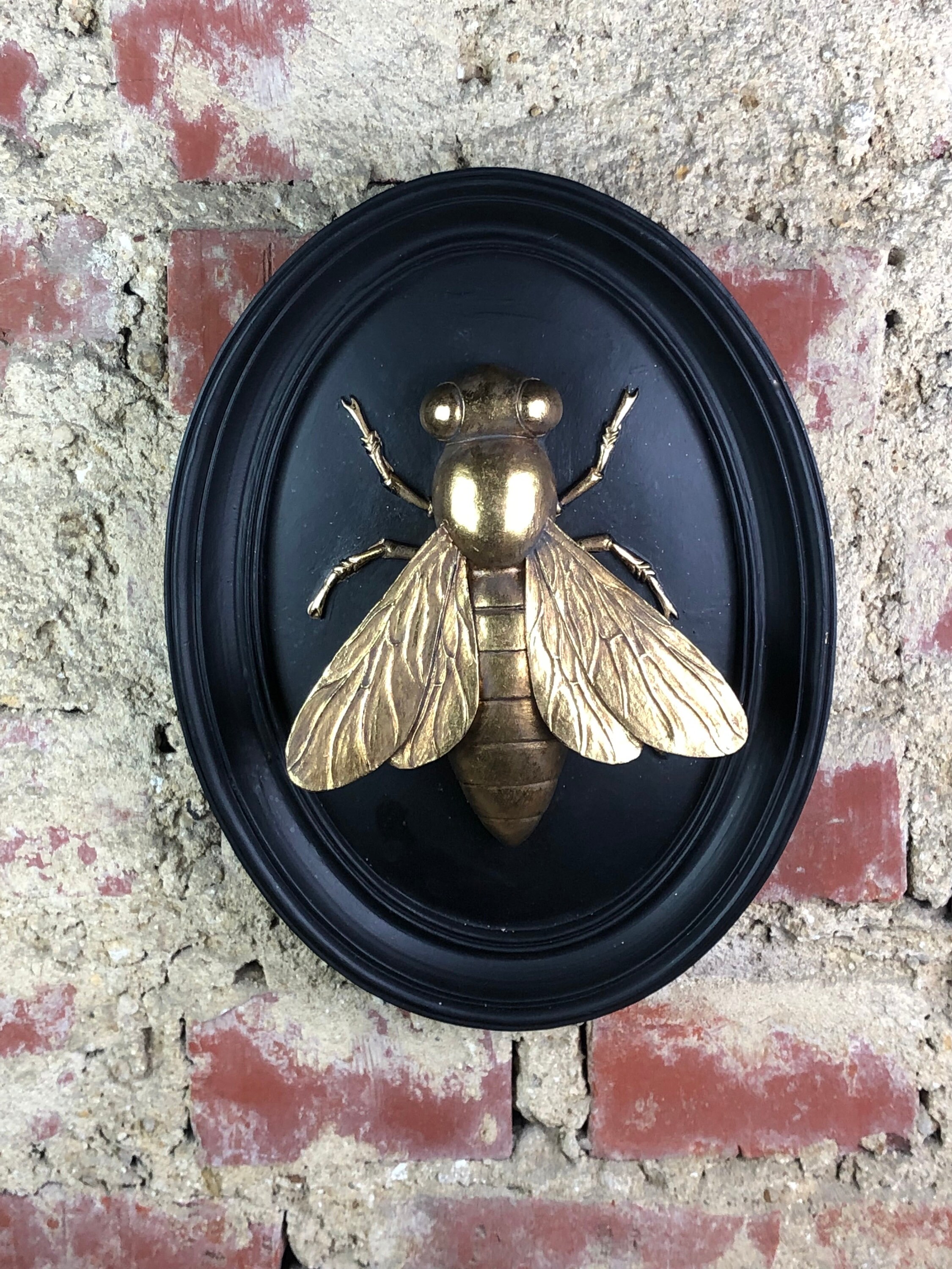 Cadre Noir Abeille Doré 27 X 21 cm