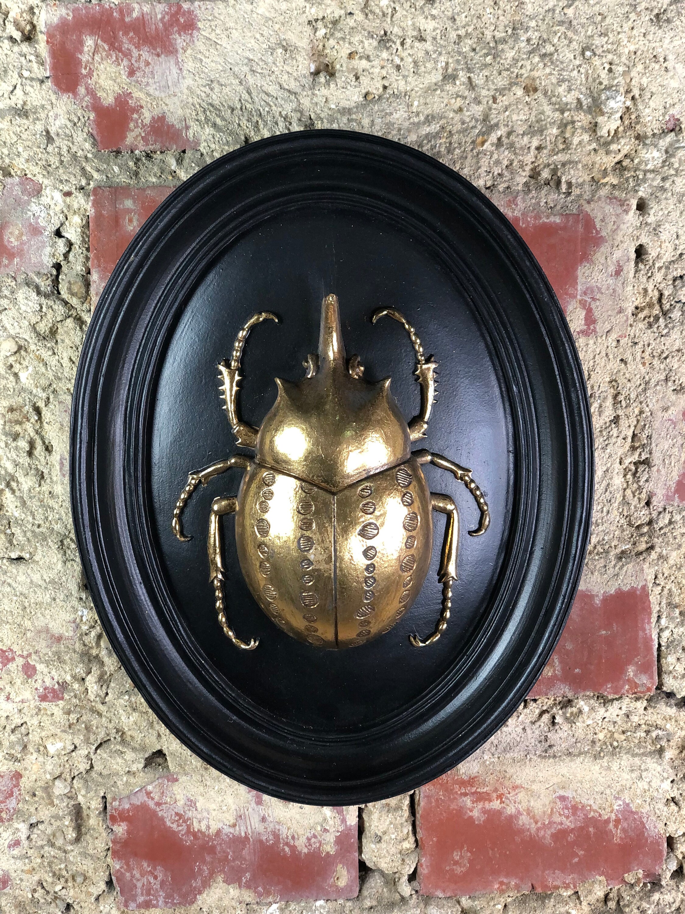 Cadre Noir Scarabée Doré 27 X 21 cm