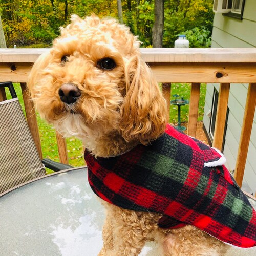 Buffalo Plaid Fleece Dog Coat Red & Black Checked Stretchy Etsy