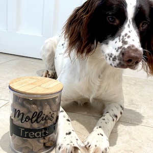 Personalised Pet Treat Jar, Dog Treat Jar, Cat Treat Jar, Bamboo Lid Treat Jar