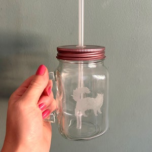 Cat Etched Glass Mason Drinking Jar
