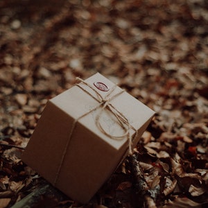 Peut inclure: Une bo&icirc;te cadeau carr&eacute;e, de couleur marron clair, attach&eacute;e avec de la ficelle et scell&eacute;e avec un sceau de cire rouge. La bo&icirc;te repose sur un lit de feuilles brunes tomb&eacute;es, cr&eacute;ant une esth&eacute;tique naturelle et rustique. L'emballage sugg&egrave;re un produit artisanal.