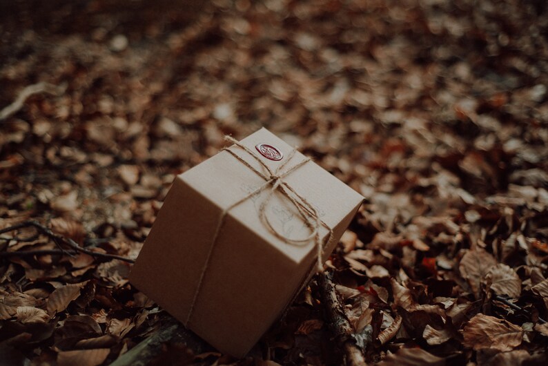 Peut inclure: Une bo&icirc;te cadeau carr&eacute;e, de couleur marron clair, attach&eacute;e avec de la ficelle et scell&eacute;e avec un sceau de cire rouge. La bo&icirc;te repose sur un lit de feuilles brunes tomb&eacute;es, cr&eacute;ant une esth&eacute;tique naturelle et rustique. L'emballage sugg&egrave;re un produit artisanal.