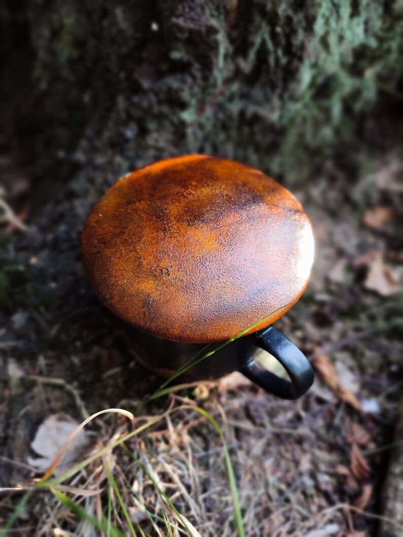 May include: A black ceramic mug with a rusty orange glaze. The mug has a handle and is sitting on a bed of brown leaves and green grass.