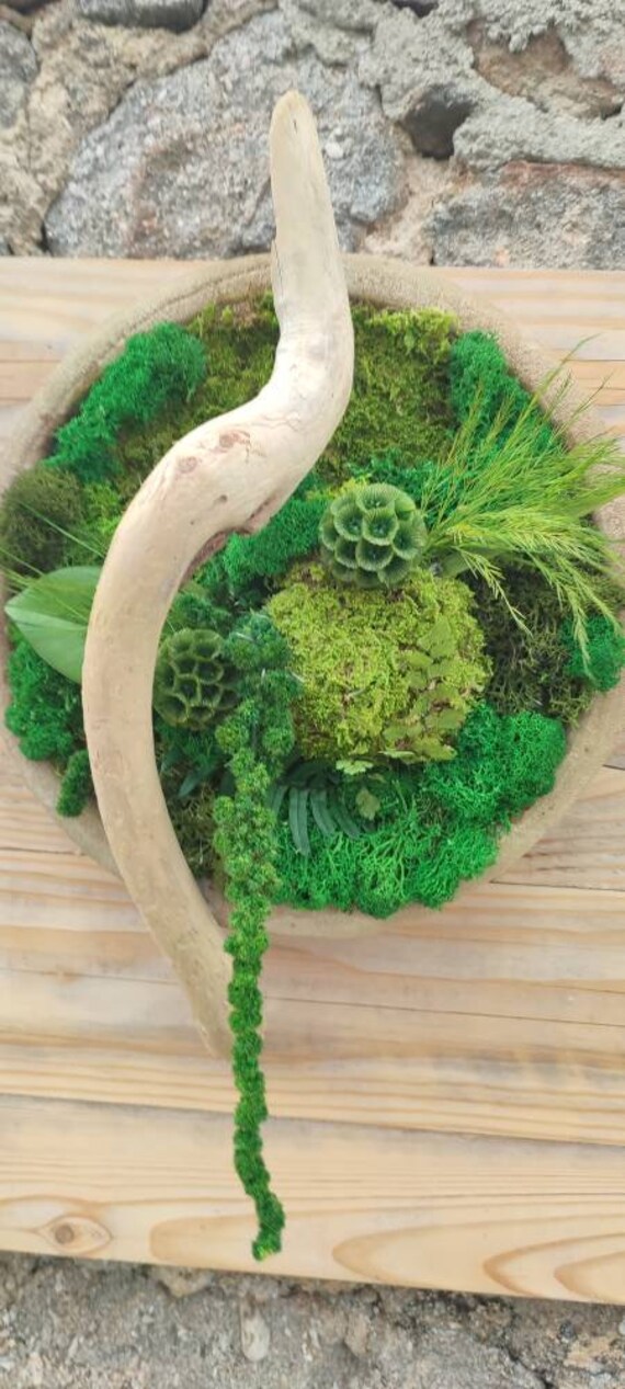 Tableau Végétal Rond et Bois Flotté