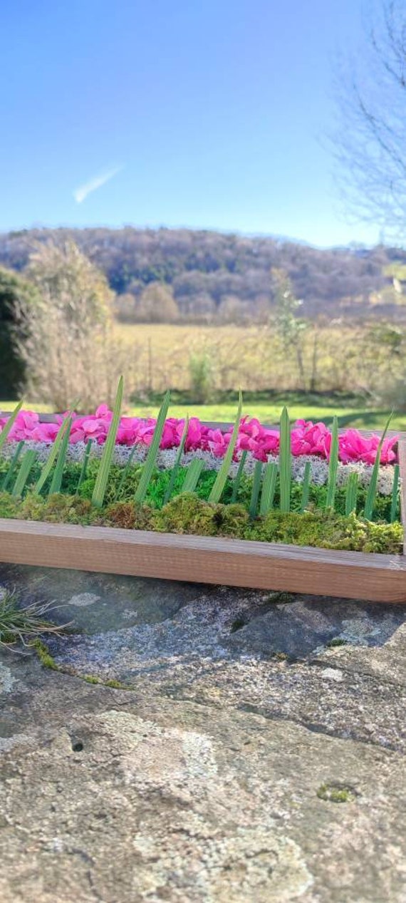 Tableau Végétal en Lichen Stabilisé