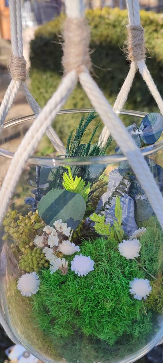Terrarium de Fleurs Éternelles et Sa Suspension Macramé