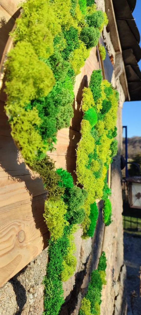 Carte Du Monde en Lichen Stabilisé Xxl