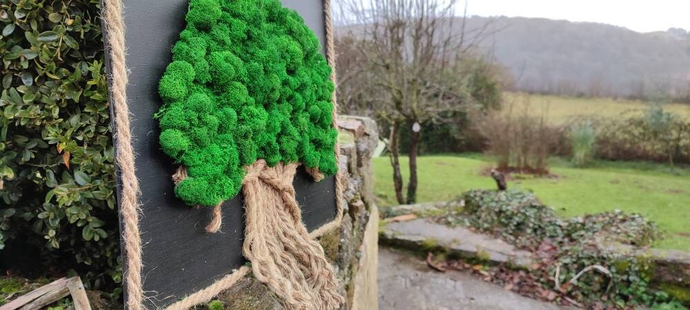Tableau Végétal Arbre de Vie en Lichen Stabilisé.