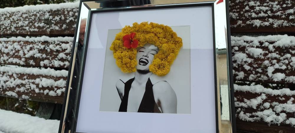 Cadre Végétal en Lichen Maryline Monroe